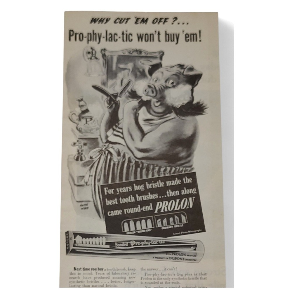 1943 Prolon‎ Toothbrush Vtg Print Ad - Hog Shaving Cartoon Pig Bathroom Humor